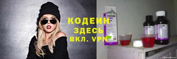 гашик Пестово