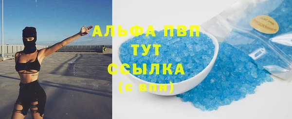 гашик Пестово