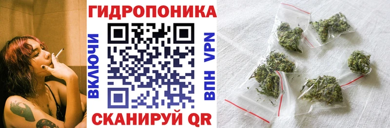 Бошки Шишки AK-47 Шарья